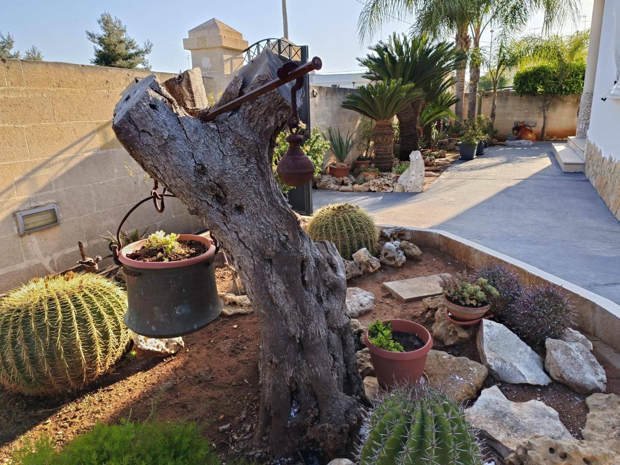 Casa vacanze Mary *